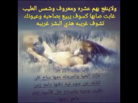 اغاني بدون موسيقى حسن الأسمر قولوا للعذاب كفايه