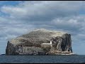 kayak fishing at the bass rock ,north berwick scotland  u.k.