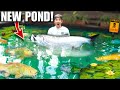 Turning The 4000G Backyard Pond Into EXOTIC DREAM AQUARIUM!
