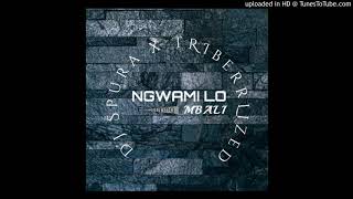 Dj Spura & TRIberrLized_-_Ngwami lo(Feat.Mbali)_ Resimi