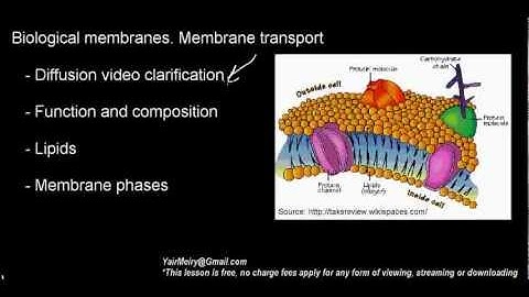 lecture 17 part 1 (Biological membranes, membrane transport)