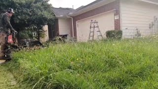 The OLD Lawn service  DISAPPEARED leaving her Yard OVERGROWN and a MESS
