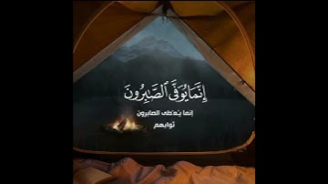 القارئ الشيخ ناصر القطامي ❤️🌿