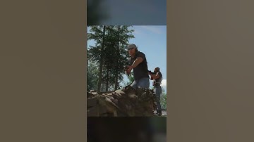 Strange Looking Pile of Leaves