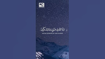 واصبر وما صبرك إلا بالله | تلاوة مؤثرة فارس عباد 🎧
