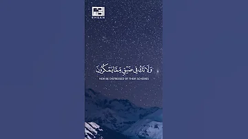 واصبر وما صبرك إلا بالله تلاوة مؤثرة فارس عباد 