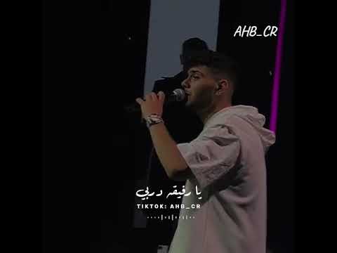 انتى يا ليدى  ترند الشامي