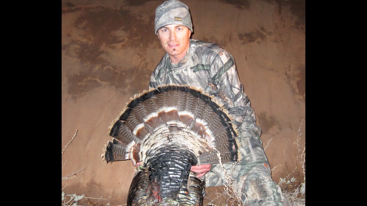 2012 UTAH TURKEY HUNT ARCHERY YouTube