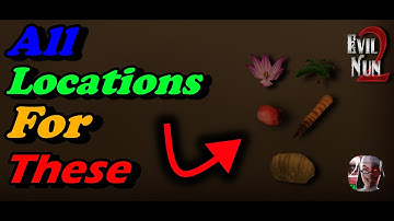 All Locations For These Items In Evil Nun 2