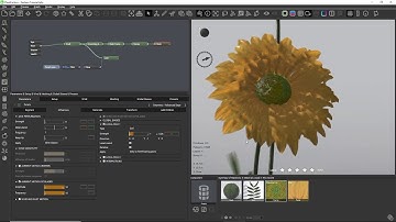 e-on Software PlantFactory Tips & Tricks: Flower Project - Part 4