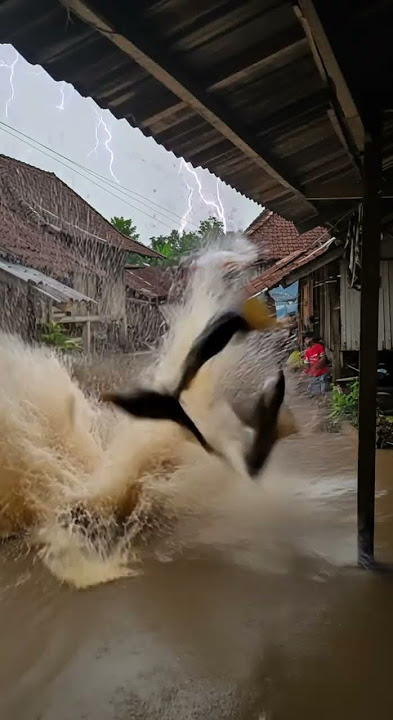 Banjir Parah Mengerikan #banjirbandang #banjirkilat #viral