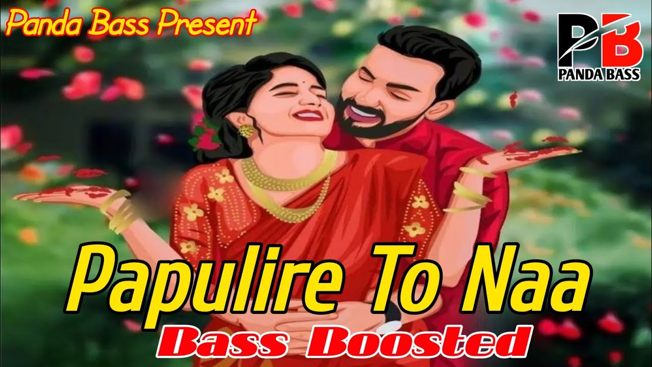 Papulire To Naa New Odia Song [BASS BOOSTED] 