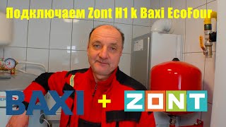 :    Zont H1  Baxi EcoFour? .