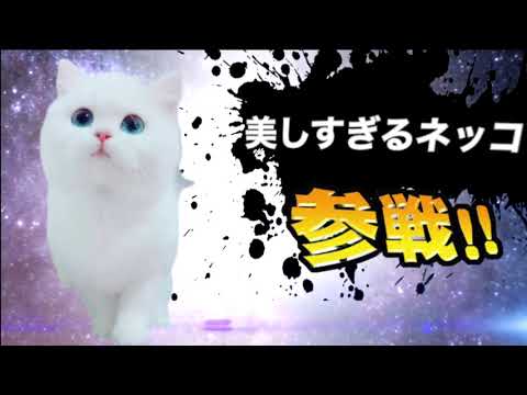 ヤバ過ぎネッコ全員参戦！！part3