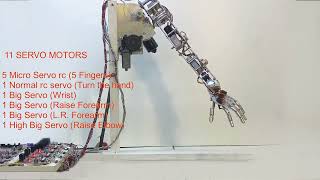 What motors to build an animatronic arm?