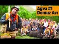 Ağva Domuz Avı  1. Bölüm Rastgele Ali Birerdinç -  Wildboar Hunting YabanTv Domuz Avı