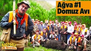 Ağva Domuz Avı  1. Bölüm Rastgele Ali Birerdinç -  Wildboar Hunting YabanTv Domuz Avı