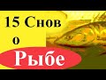 К чему снится рыба женщине и мужчине - 15 снов (в чистой и грязной воде, живая, большая, есть и др.)