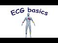 ECG basics