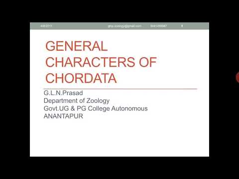 General characters of Chordata: కార్డేట సాధారణ లక్షణాలు మరియు వర్గీకరణ