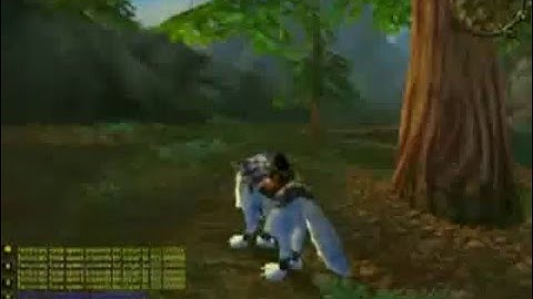 The Best World of Warcraft 2.4.2 Private Server