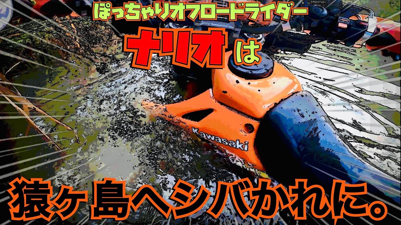 【猿ヶ島】洗車の手間が省けました。　　　　　　　　　　　　　　    #バイク #猿ヶ島 ＃猿が島 ＃林道  #klx ＃水没 ＃転倒 #gopro