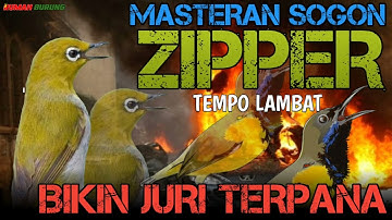 JERNIH MASTERAN SOGON MATERI ZIPPER WIT WIT TEMPO LAMBAT BIKIN JURI TERPANA