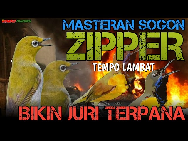 JERNIH MASTERAN SOGON MATERI ZIPPER WIT WIT TEMPO LAMBAT BIKIN JURI TERPANA class=