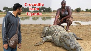 A visit to a crocodile farm in Uganda where crocodile food is prepared and fed