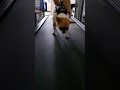 Rehabilitacja Chico