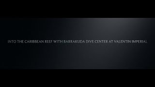 Into The Carribbean Reef with Barrakuda Dive Center