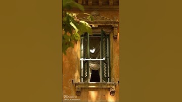 المنشاوى قرآن كريم تلاوة تريح القلوب #shortvideo