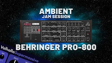 Ambient Jam with Behringer Pro-800 [Synthesizer Demo] (No Talking)
