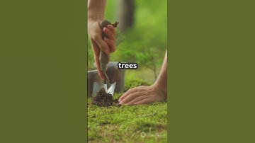 Conversations With Change makers:     Inspiring Stories