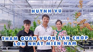 THAM QUAN VƯỜN LAN CHỚP LỚN NHẤT MIỀN NAM #hoalandep