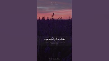 وتوكل على الحي الذي لا يموت  .. سورة الفرقان .. القارئ عبدالله الموسى .. الرياض