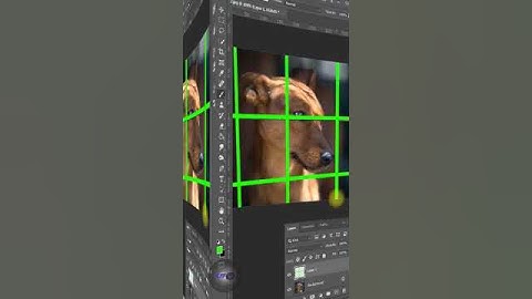 How to Remove Dog Fence Photoshop Tutorial