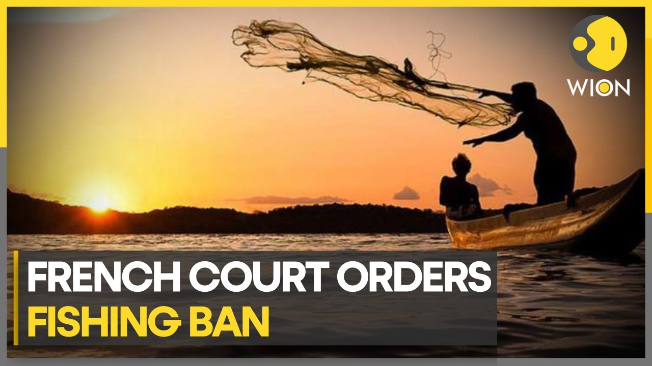 Court orders ban on fishing to protect dolphins | WION Climate Tracker