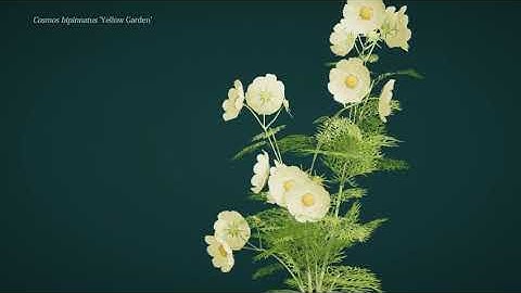 Foliage Model Created by Tree It Inside Unity