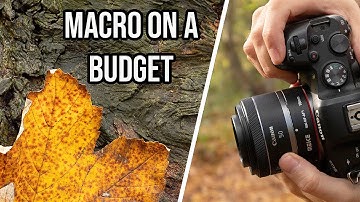 How to Use EXTENSION TUBES for Close Up & Macro Photography (With Canon RF F/1.8 STM Lens)