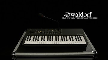 Waldorf STVC String Synthesizer and Vocoder | Gear4music demo