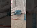 Snowflakes singing