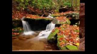 Mustafa Kivrakdal - Pinarbaşi Burma Burma Resimi