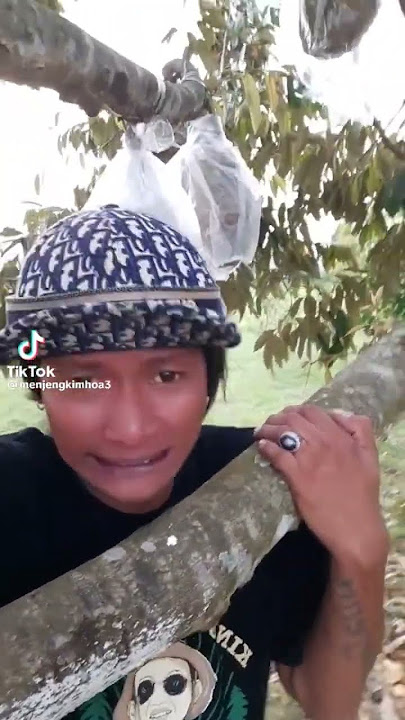 Dikasih info mase