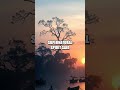 The Enigma of the Chao Phraya River