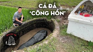 Cá đá 'cõng hồn' ở Hưng Yên trong tích Hồn Trương Ba da hàng thịt