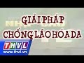 THVL | Nhịp cầu y tế - Kỳ 140: Giải pháp chống lão hóa da