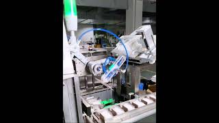 Packing Products into Individual Boxes#cartoningmachine   #cartonpackingmachinery#packagingmachine