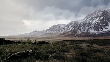 Landscape collision mip level in UE5