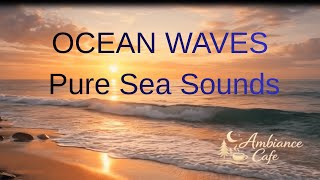 Waves Rolling at First Light | The Shore Before Sunrise